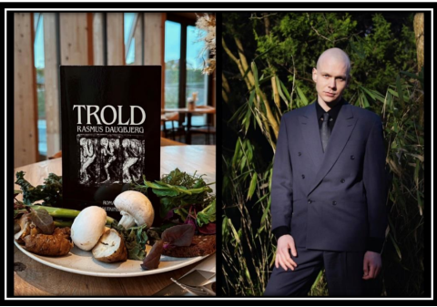 Rasmus Daugbjerg: Trold, roman